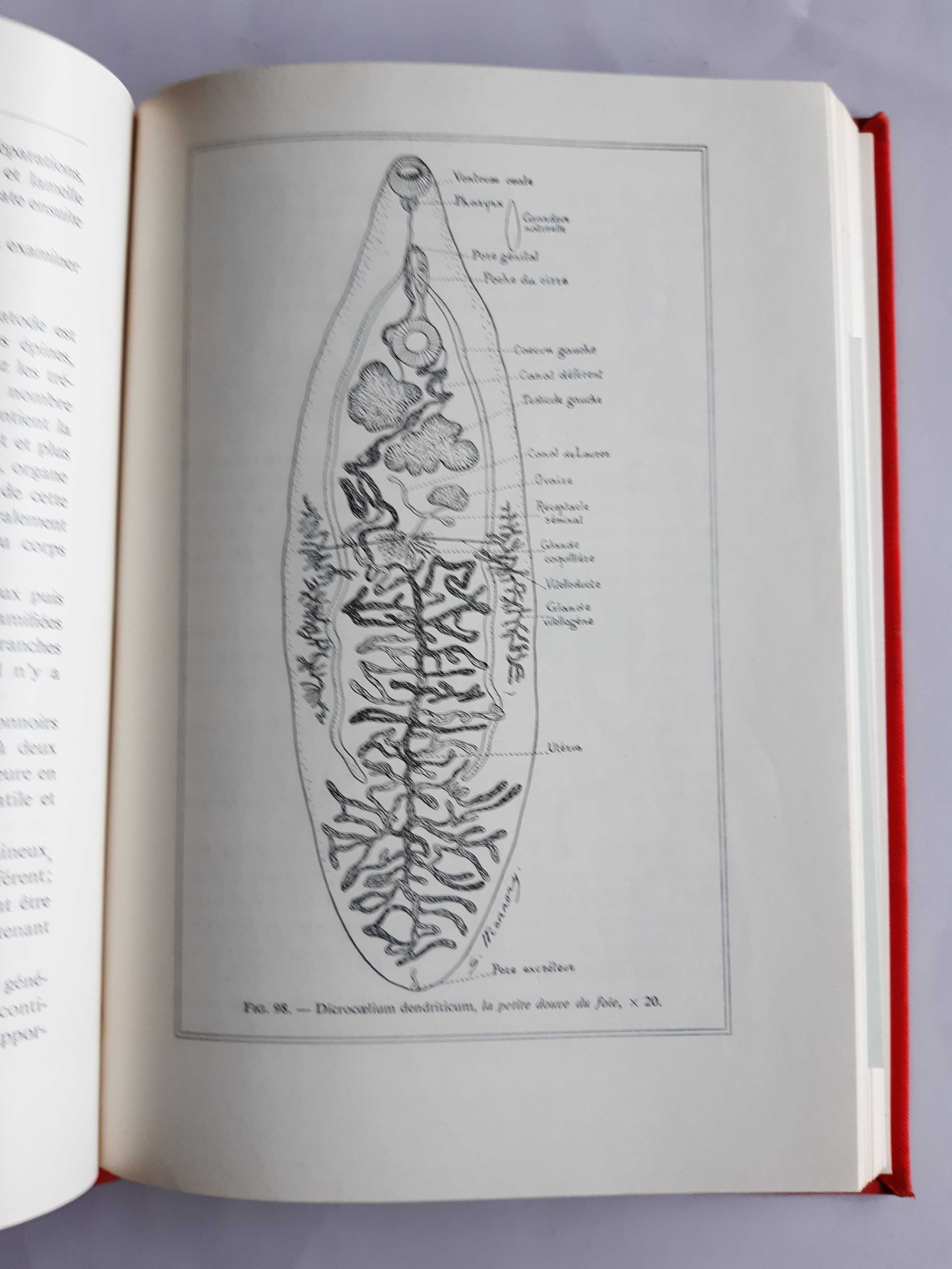 Travaux pratiques de parasitology - L. Brumpt e V. Brumpt