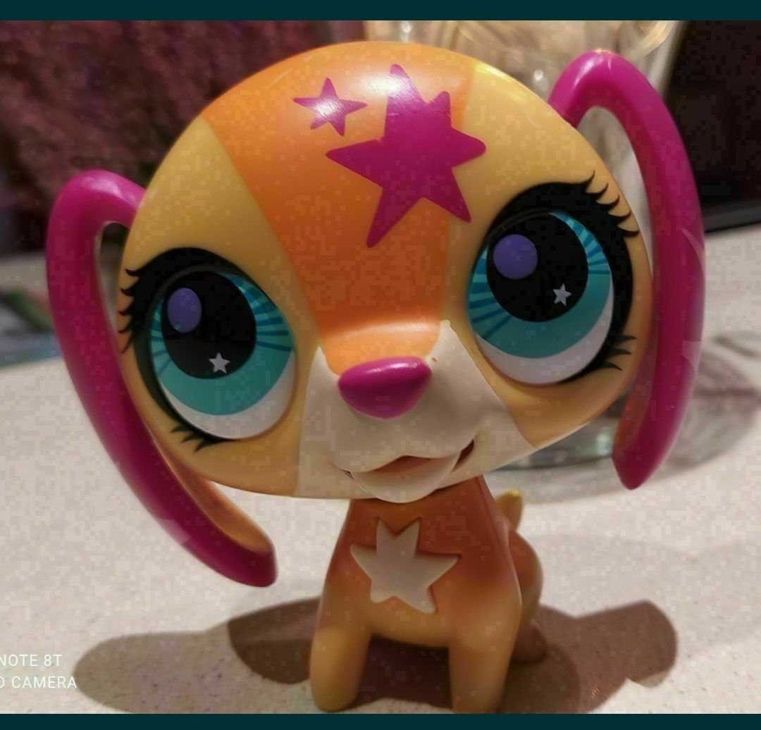 Duży śpiewający pies Littlest Pet Shop