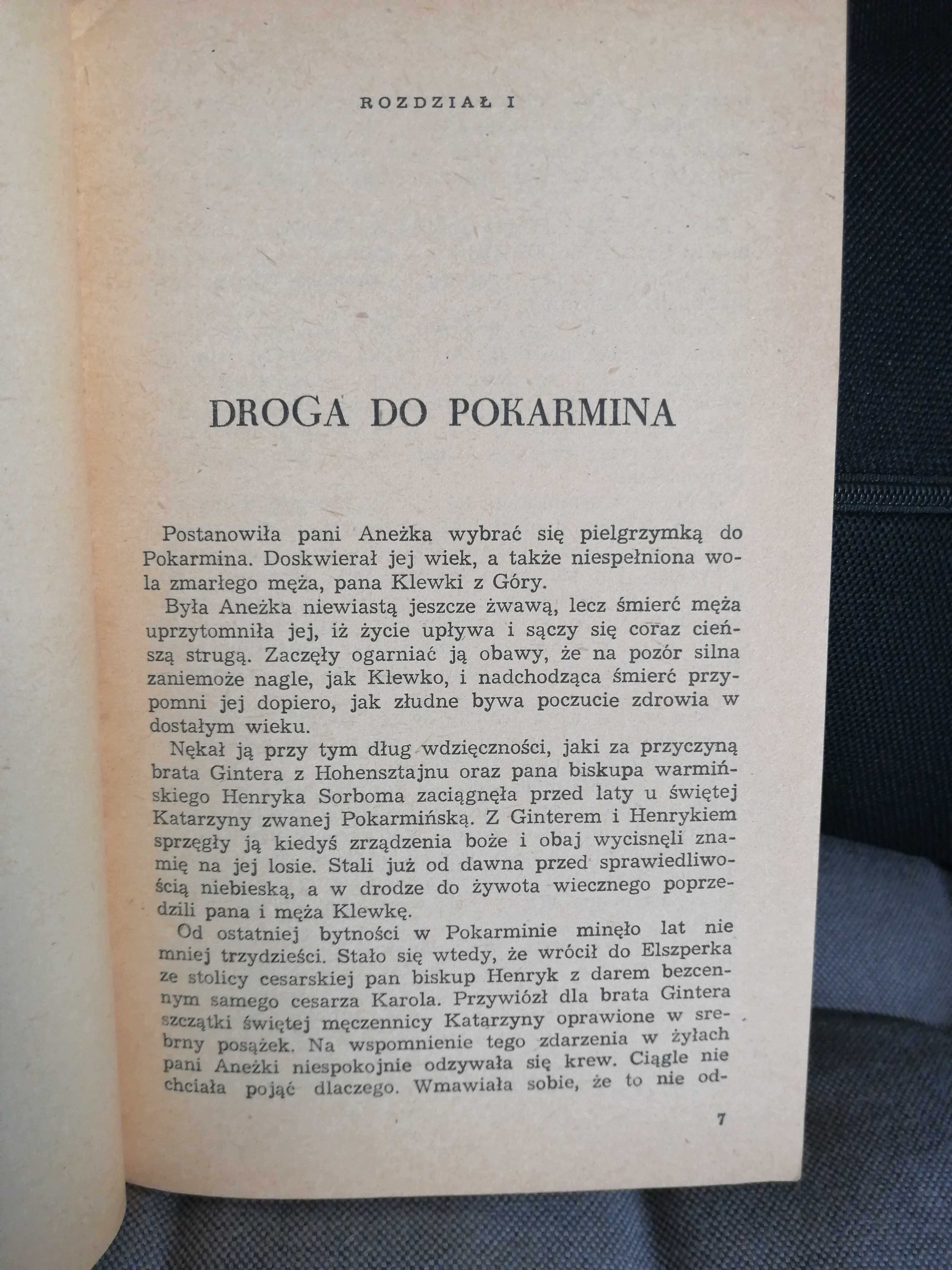 Po święcie Rozesłania, Władysław Ogrodziński