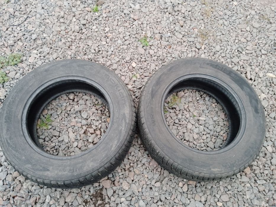 Шини зимові 195/65R15 2шт.