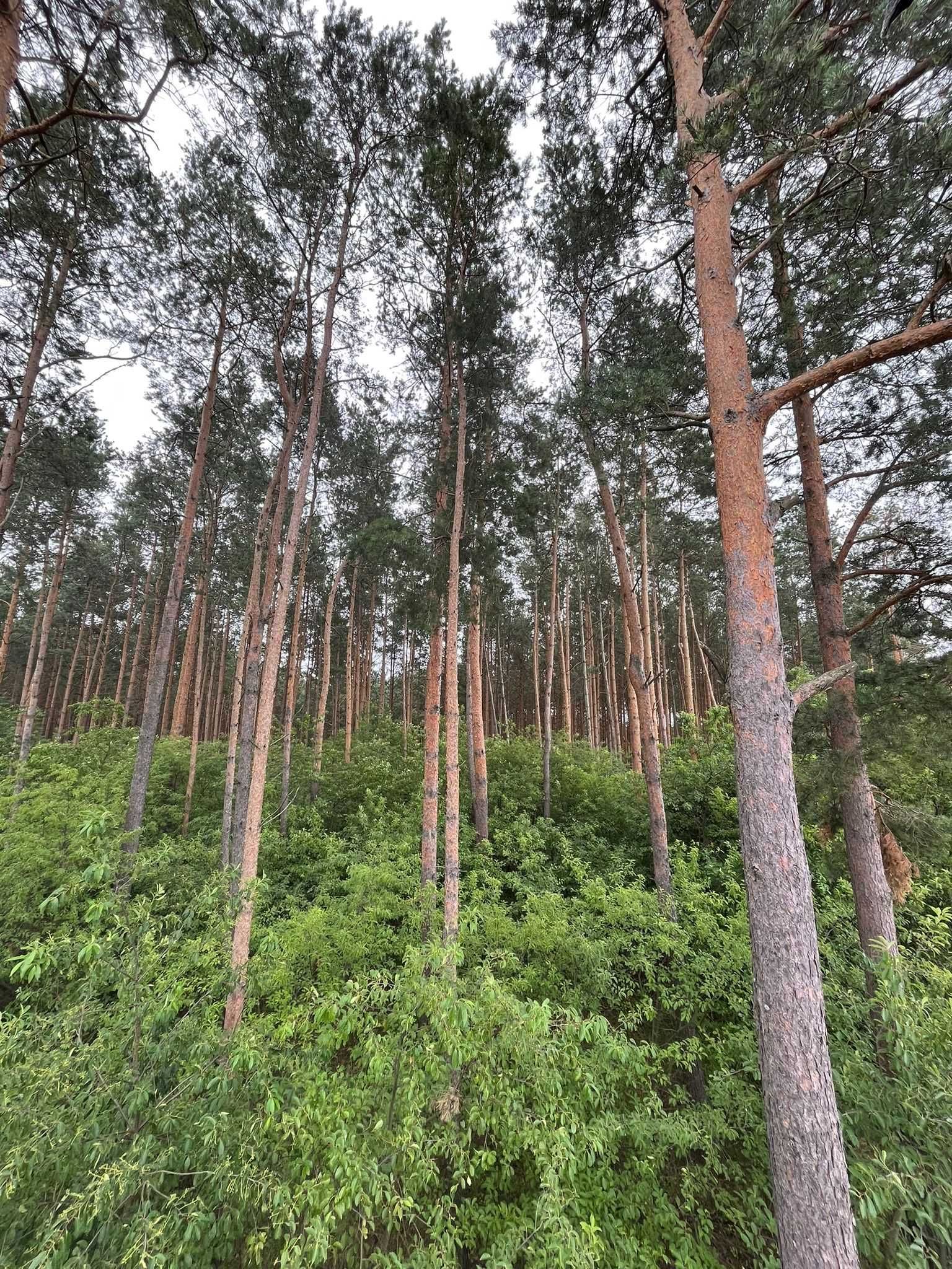 Domki nad jeziorem, prywatna plaża, pomost, kajaki, balia, cały rok