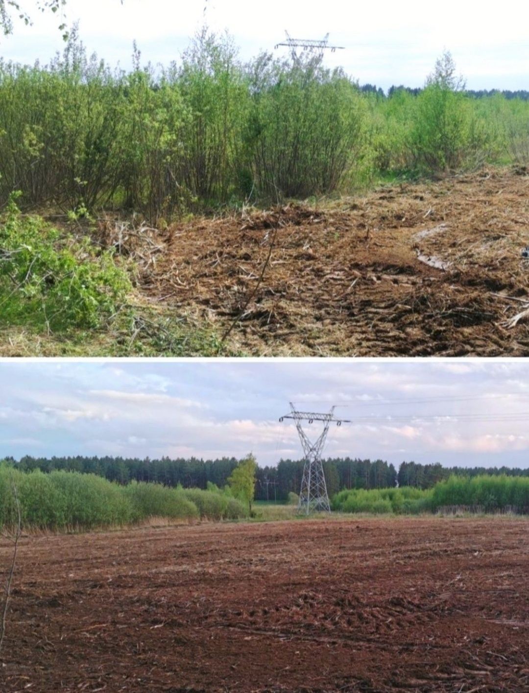 Оренда мульчера. Корчування, Мульчування, Розліснення.