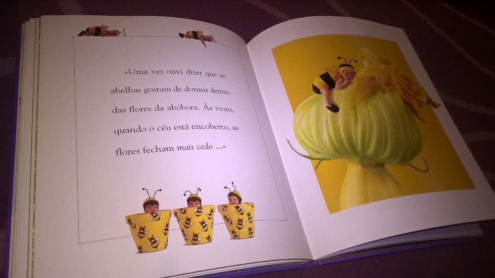 Livro Bébés O Jardim encantado - Anne Geddes