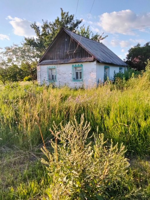 Продам дім і ділянки