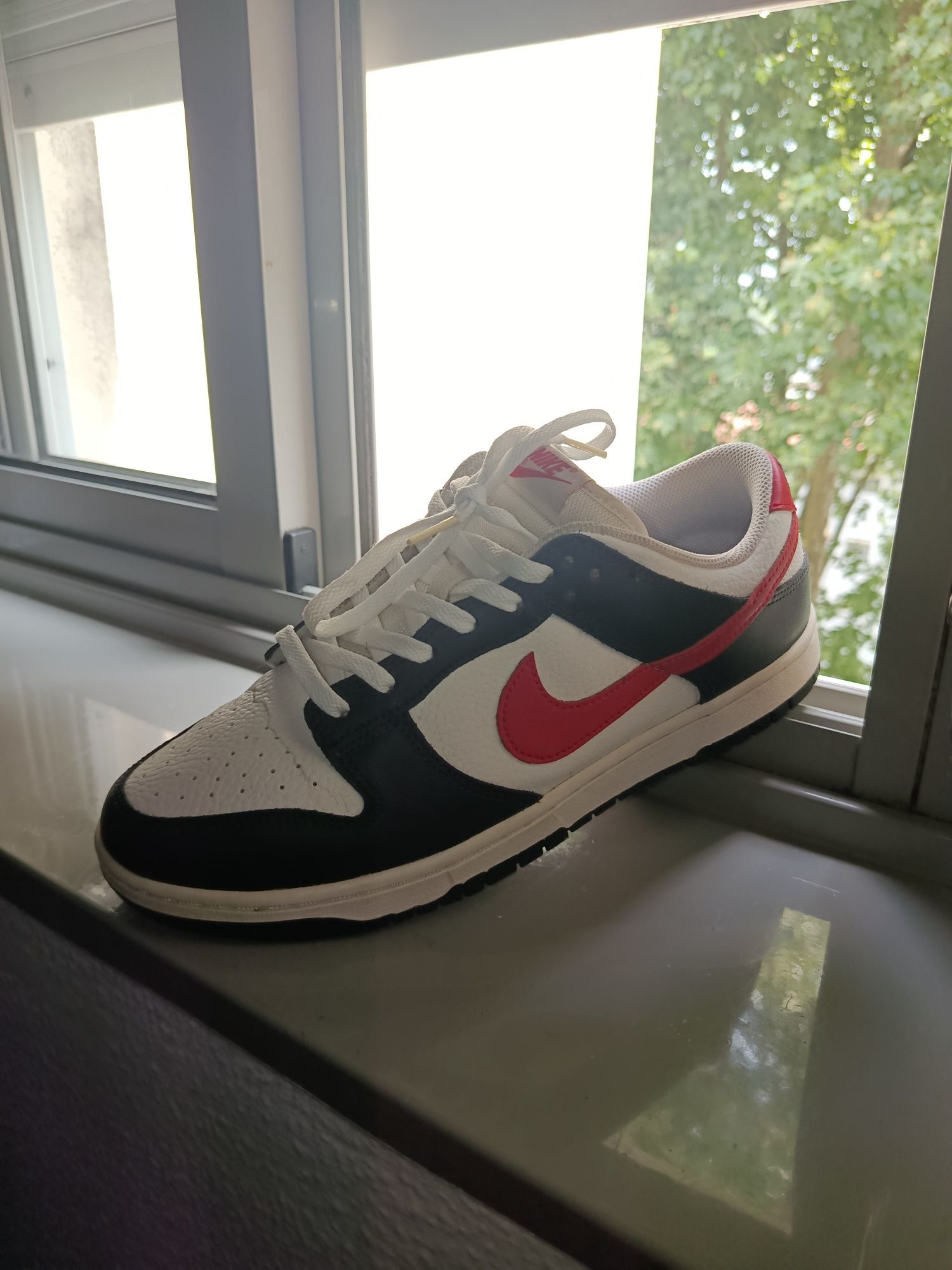Nike Dunks novos