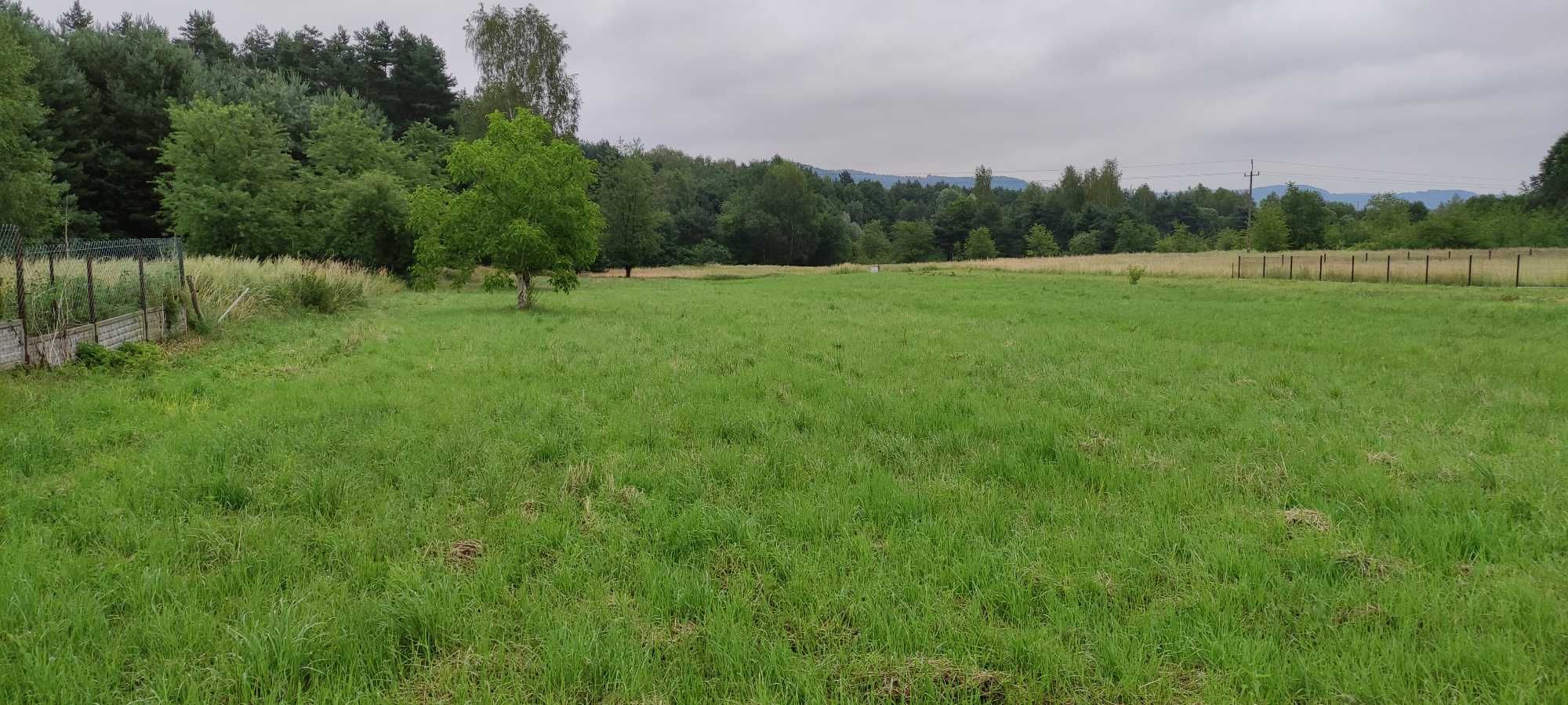 Działka z WZ na sprzedaż Żarki pod lasem