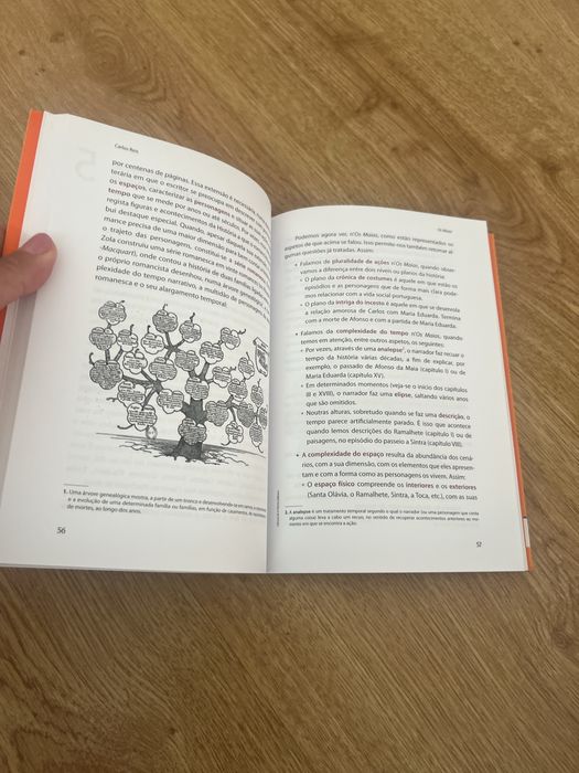 Resumo livro Os Maias - 11 ano