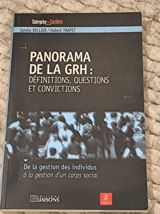 Panorama de la GRH : définitions, questions et convictions S. Bellier