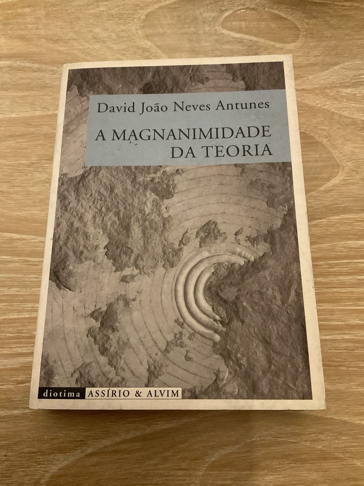 A Magnanimidade da Teoria - David João Neves Antunes