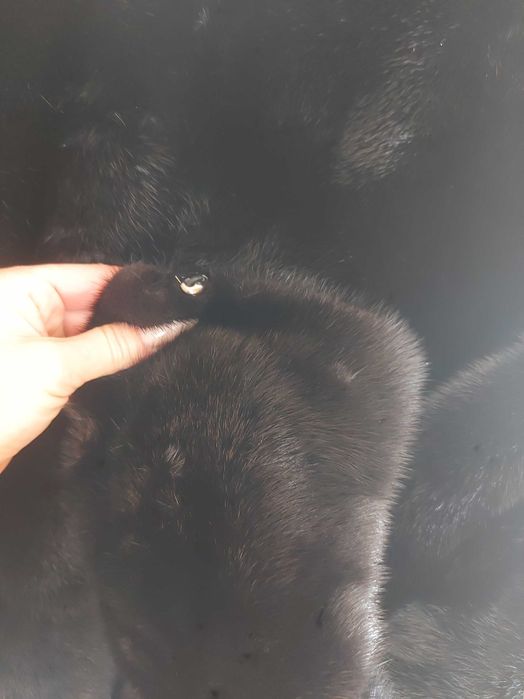 Норкова шуба. Чорний колір. 100 см довжина.