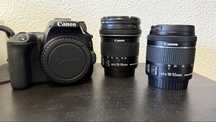 Canon EOS 250d (10000 clicks)