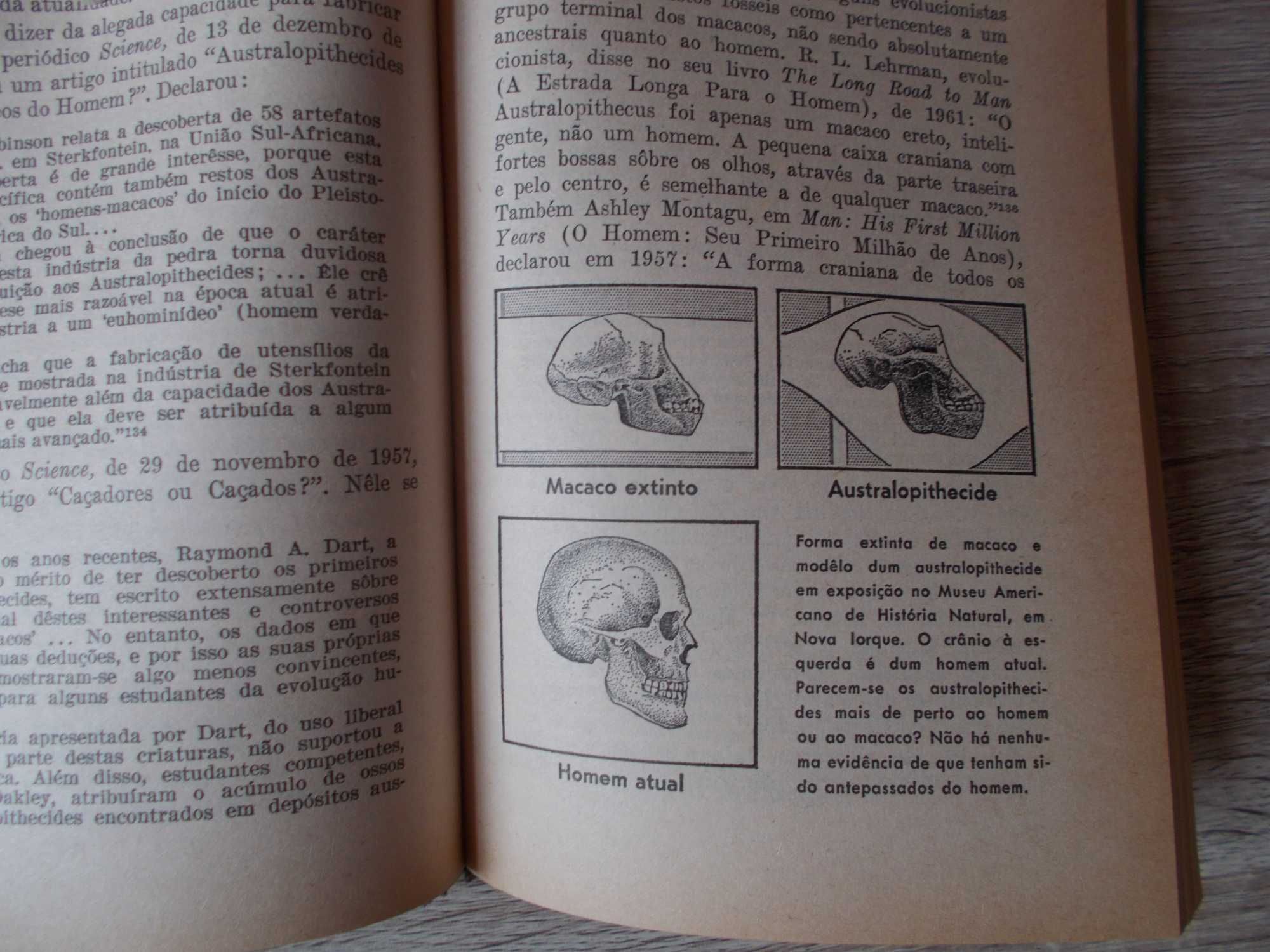 veio o homem a existir por evolução ou por criação?