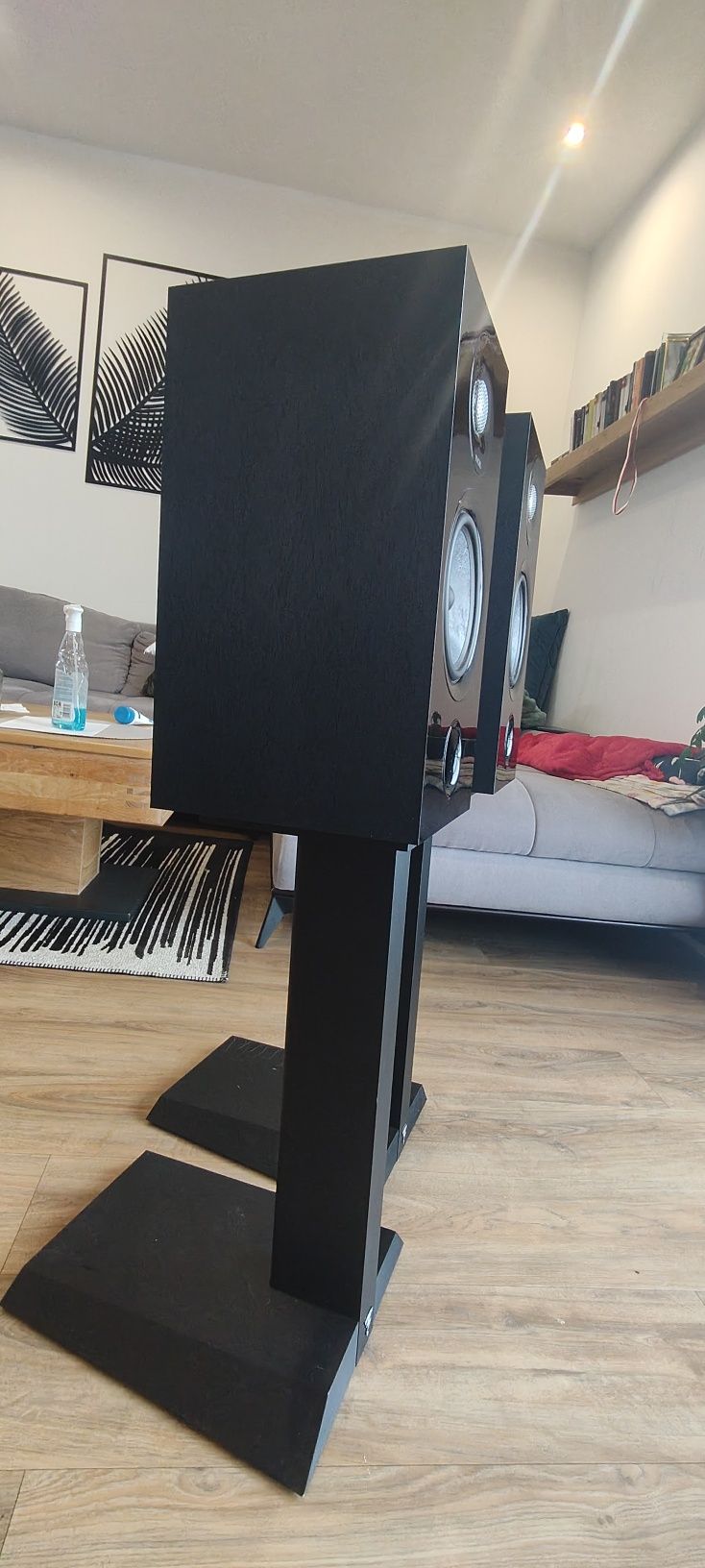 Kolumny Focal chora 806