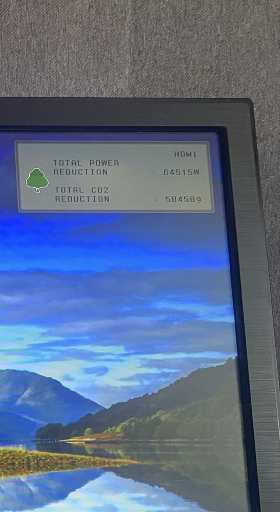 Monitor LG Flatron E2441 24”