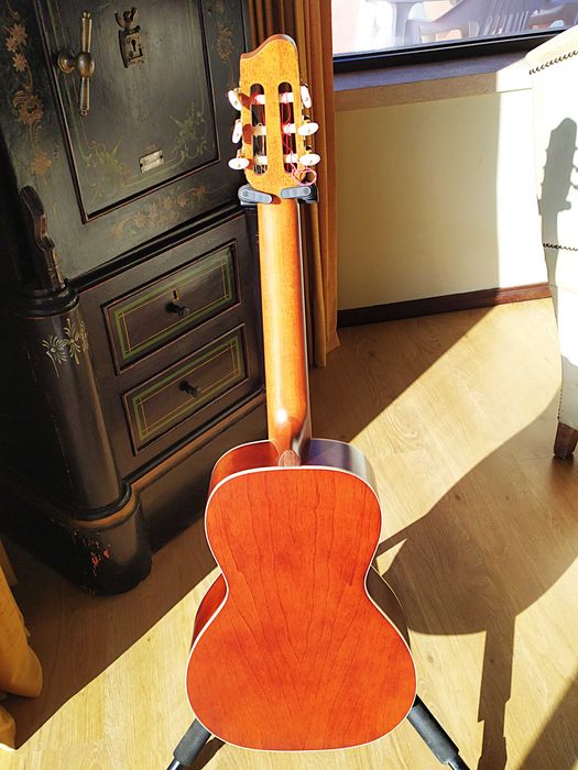 Godin Guitarra Parlor Nylon