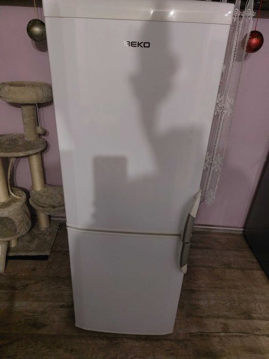 Lodówka BEKO 152 cm wysoka