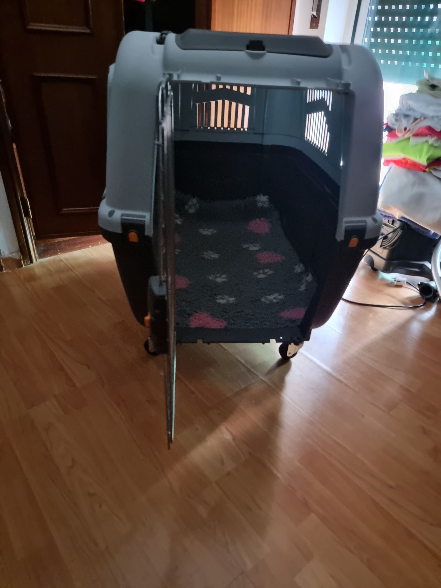 Transportadora skudo 7 nova