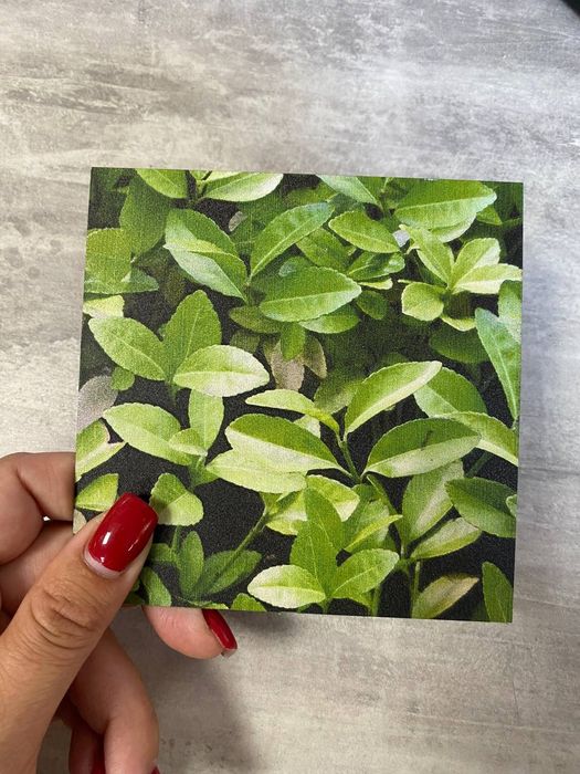 Профнастил | Металопрофіль | Штахетник|