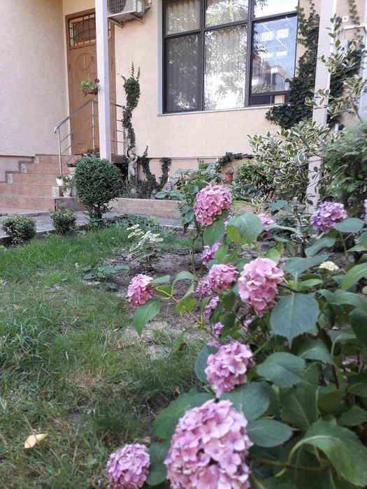 Гаршина, 12 станция Большого Фонтана, частный дом