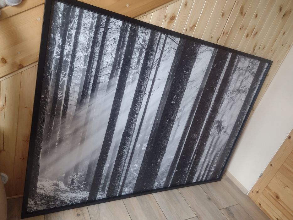 Obraz Las 200x140 IKEA