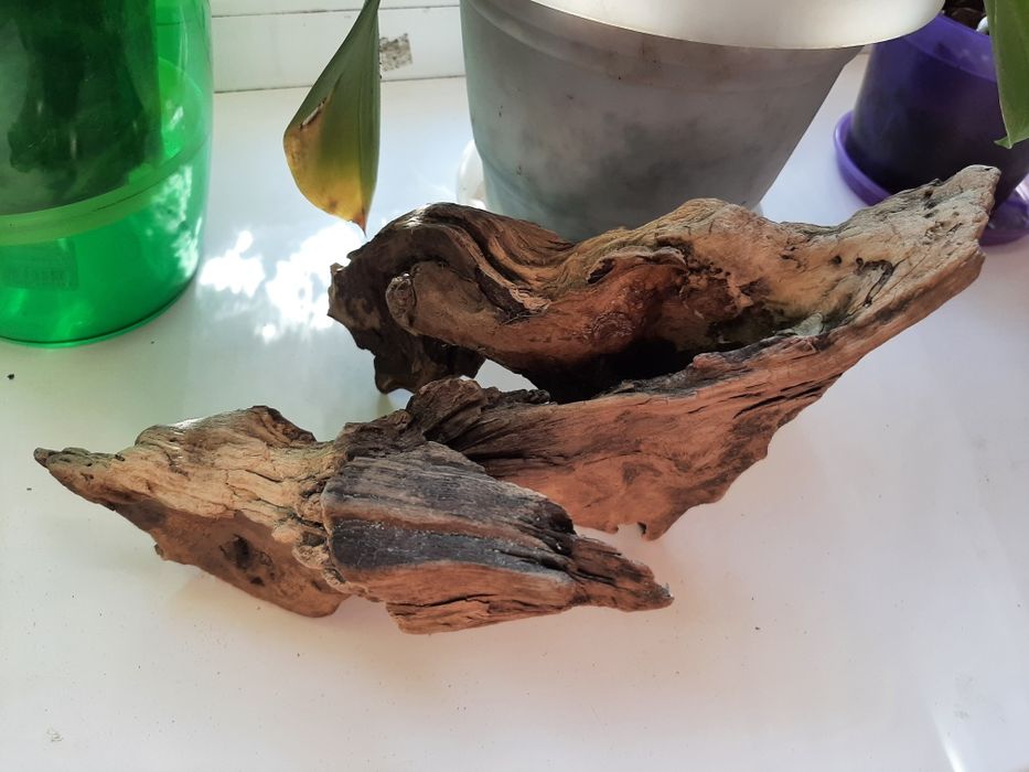 Продам коряжку в аквариум