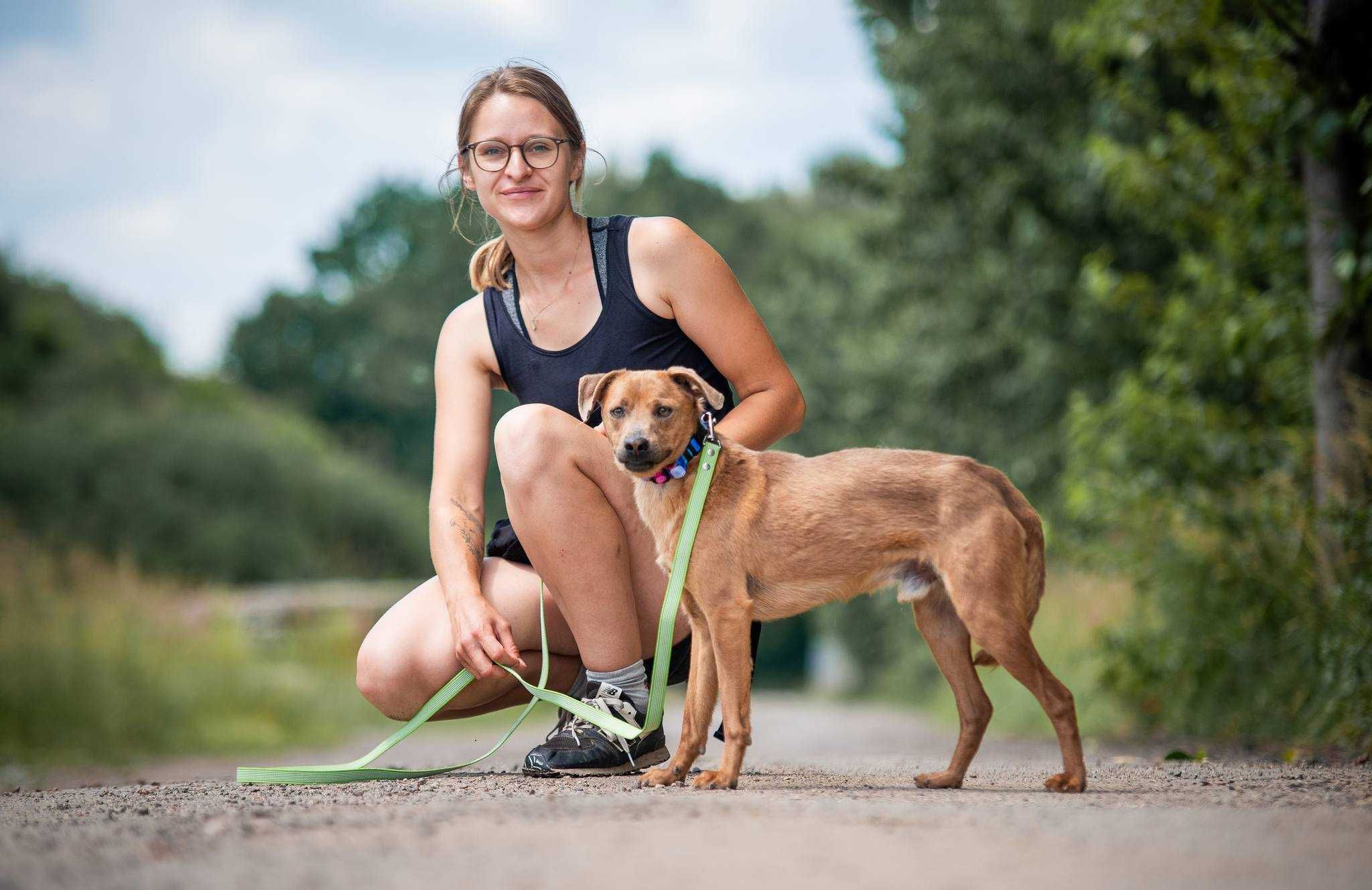Ulek - młody psiak szuka nowej rodziny ADOPCJA