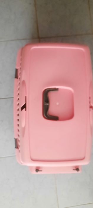 Transporte pet até 10k