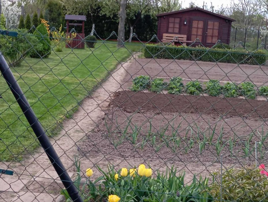 Sprzedam działkę ogrodową w miejscowości Olszewka