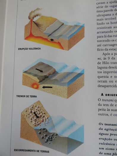 Livro “Um Planeta Violento”