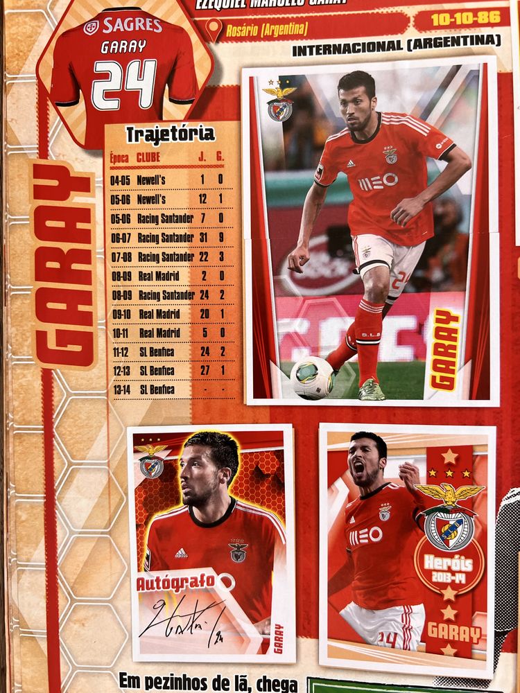 Caderneta cromos SL BENFICA 2013-14