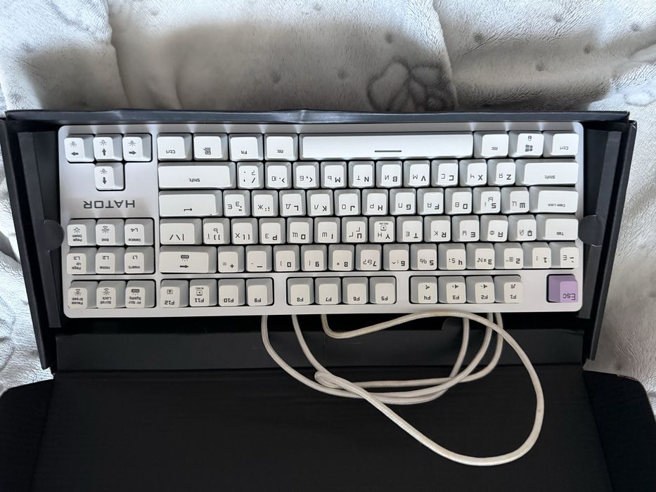 Hator Rockfall EVO TKL | В хорошем состоянии