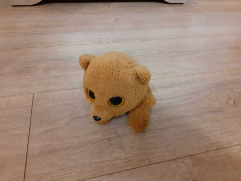 Miś pluszak maskotka