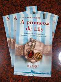 A Promessa de Lily - de Lily Ebert e Dov Forman - NOVO