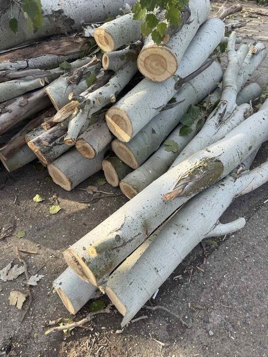 Продам дрова по Николаеву и области