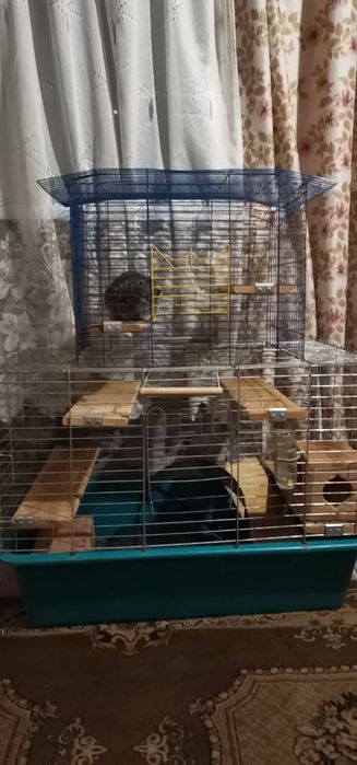 Віддамо в добрі руки