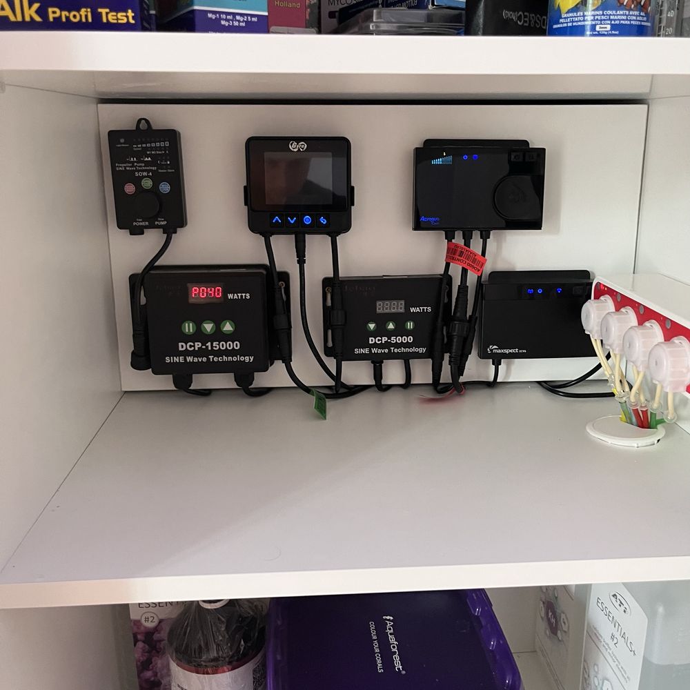 Akwarium Morskie 560L - Komplet z pełnym osprzętem. Maxspect itp.