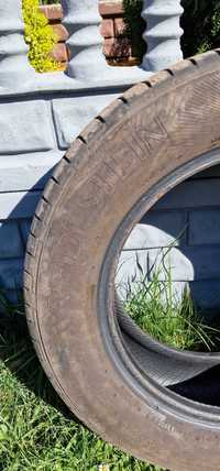 195/65 R 15' Verdestain PowerTrac