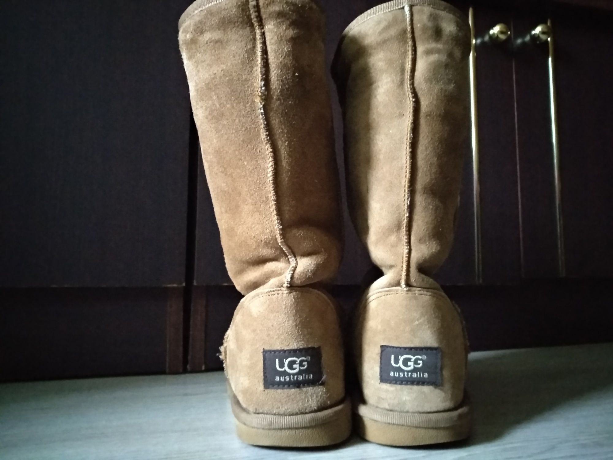 Чоловічи чоботи UGG Australia