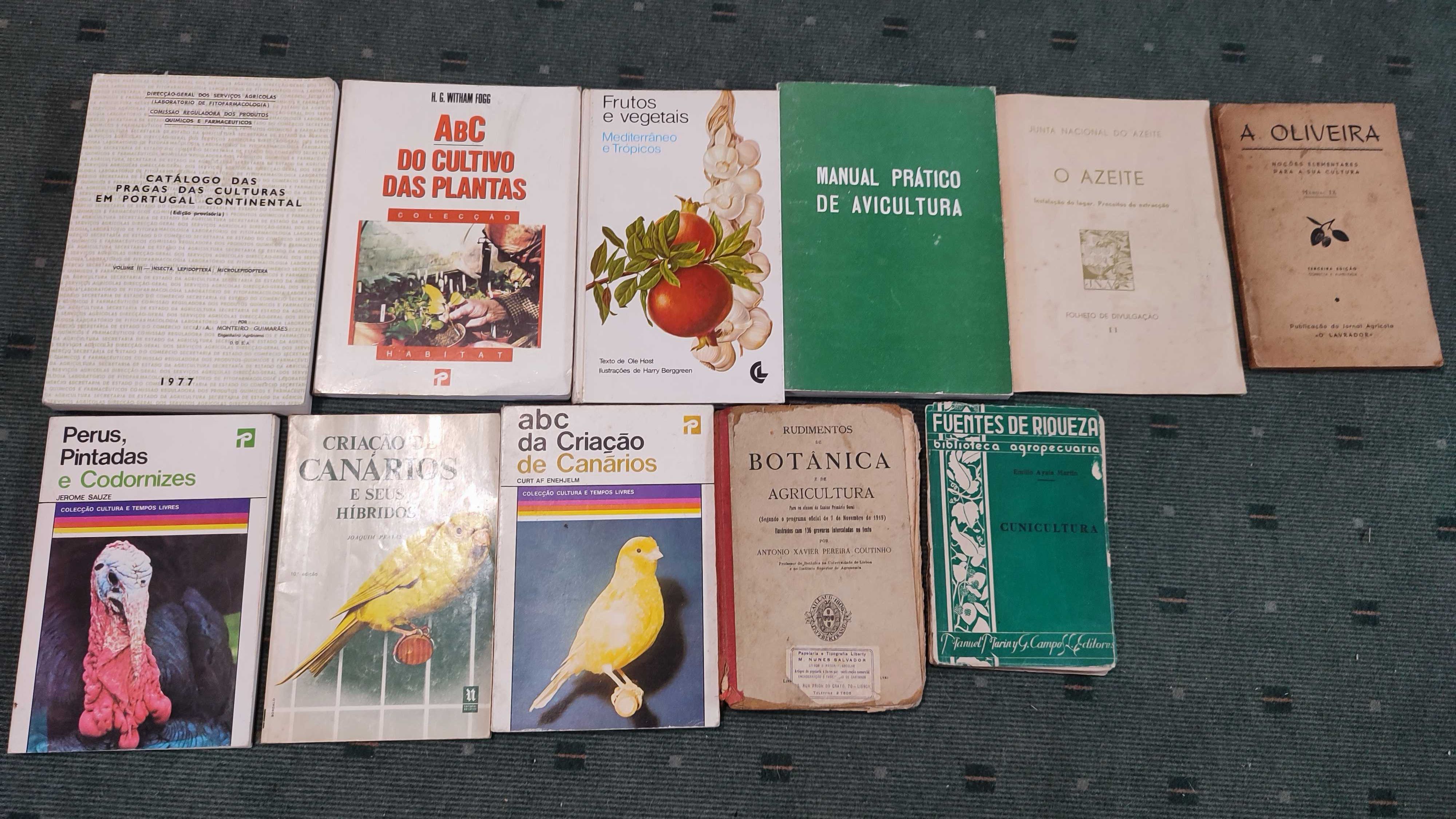 Lote livros Agricultura e Pecuária