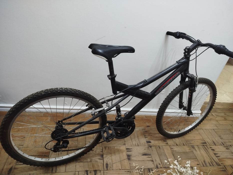 Bicicleta e world bike tour
