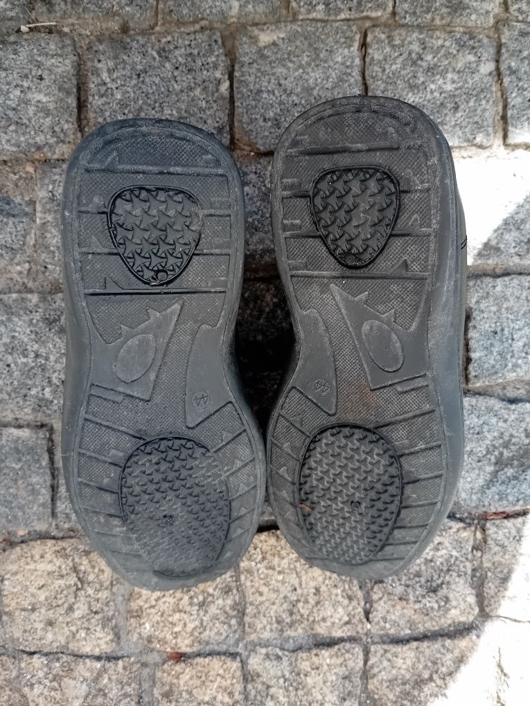Bota cardada.      .