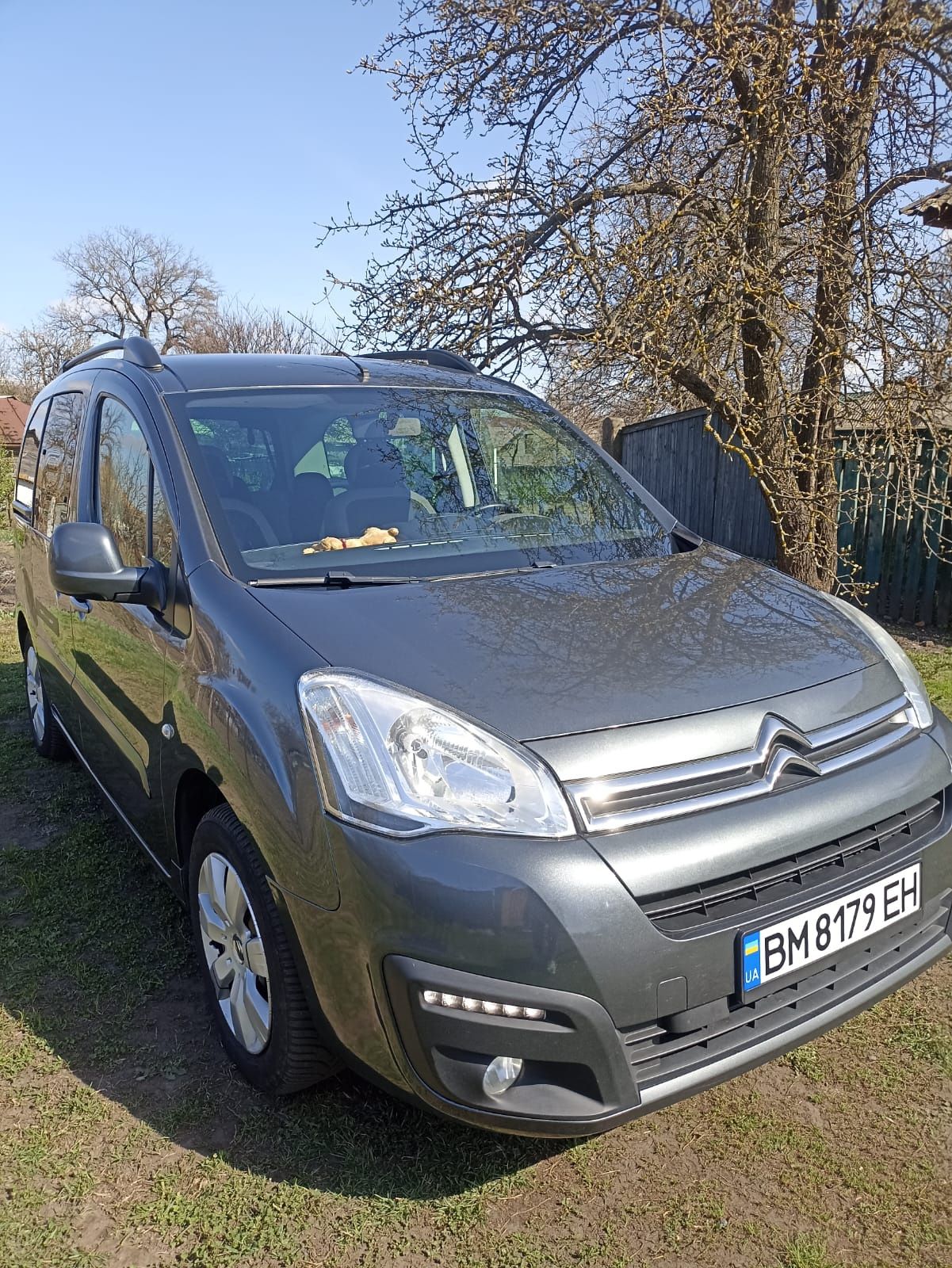 Citroen Berlingo multispace 2016-2017