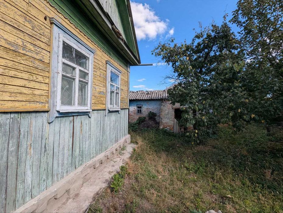 Будинок з садком, городом та земельною ділянкою біля Ніжина