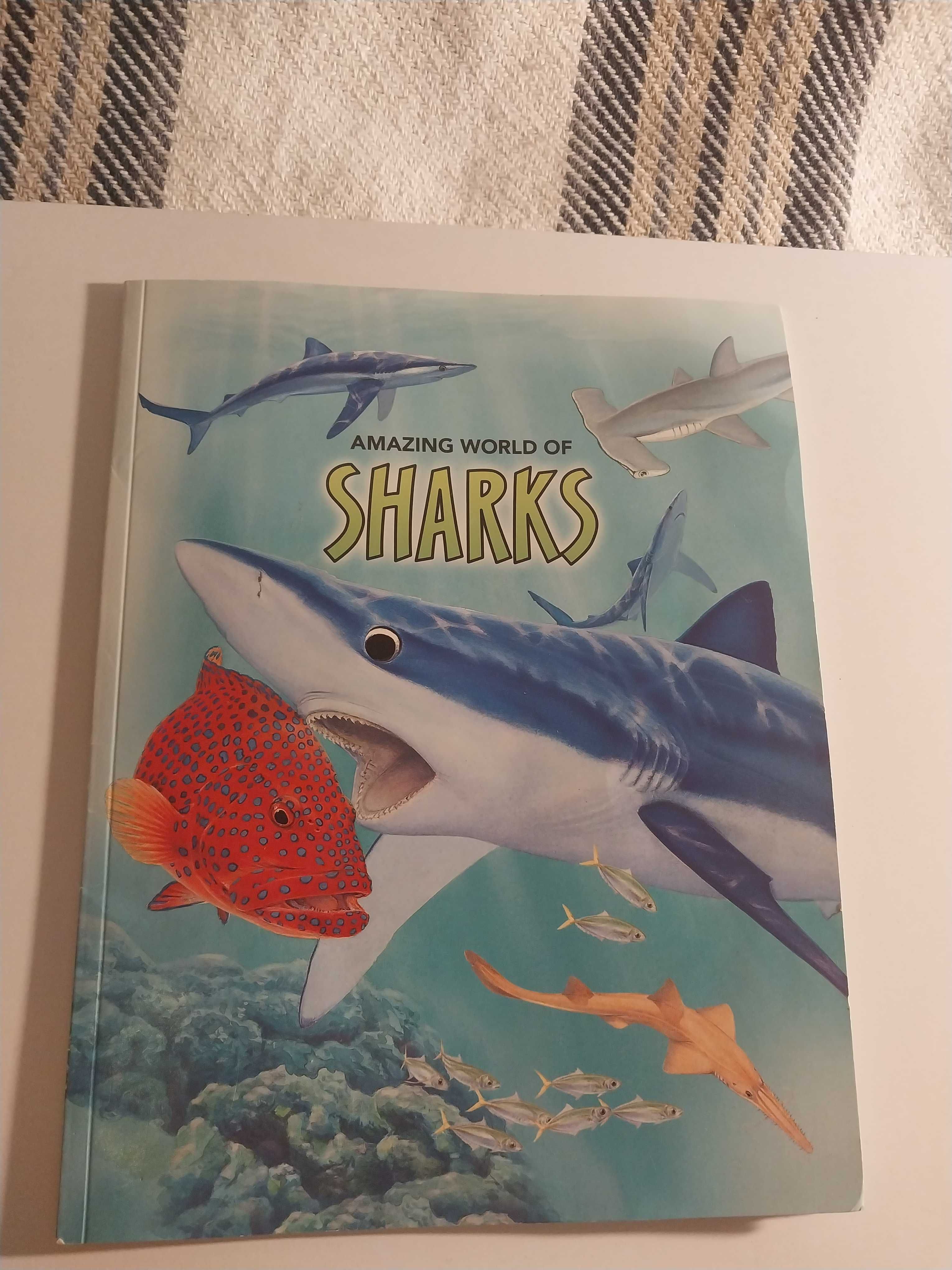 книга для детей и взрослых на английском Amazing world of sharks