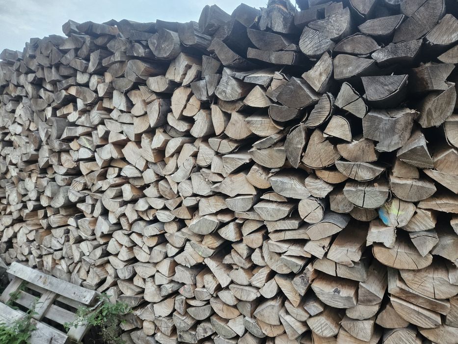 Buk suchy drewno kominkowe 3 letni