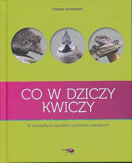 Co w dziczy kwiczy Kłosowski Tomasz nowa twarda