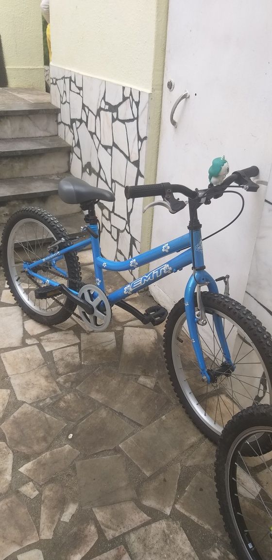 Bicicleta criança roda 20.