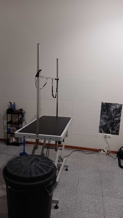 Trespasse loja de Banhos e Tosquias