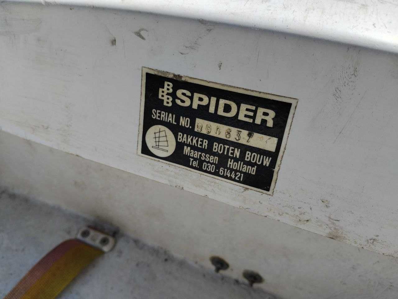 Opimist Spider w dobrym stanie