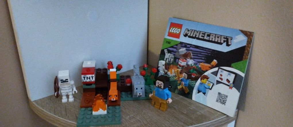 LEGO Minecraft 21162 Przygoda w tajdze